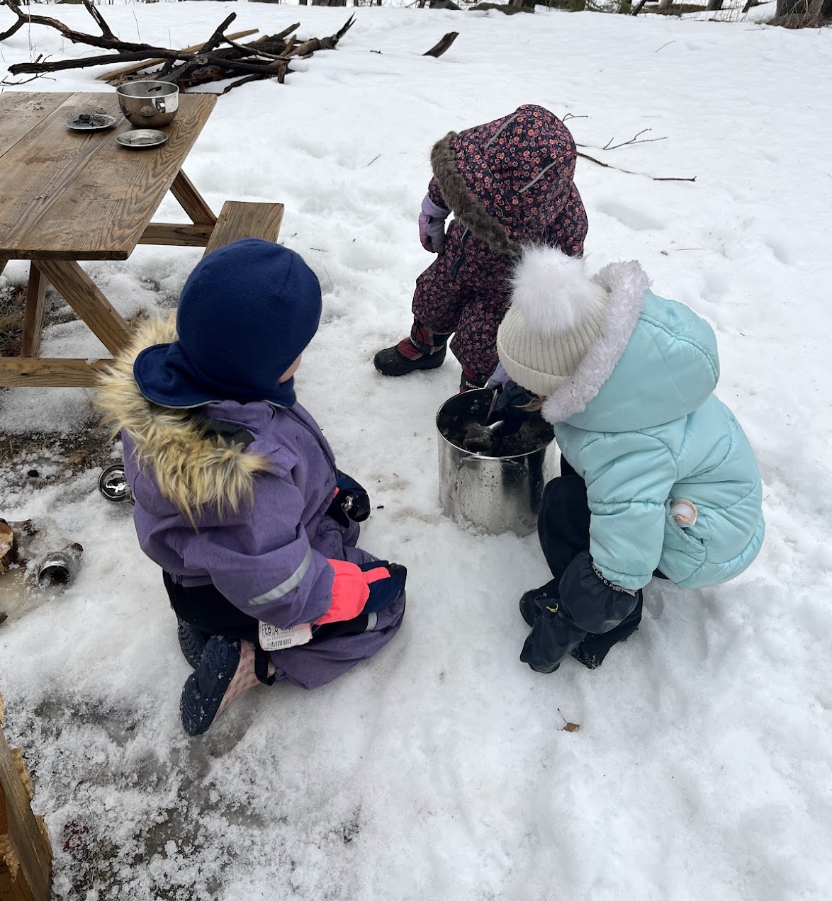 Nature school activity